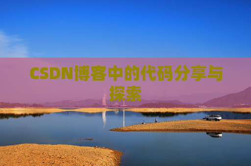 CSDN博客中的代码分享与探索